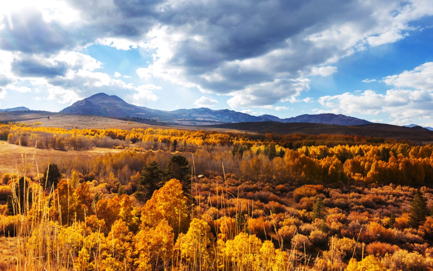 Scenic view of Sierra Nevada Mountain. fall foliage landscape. California,USA.